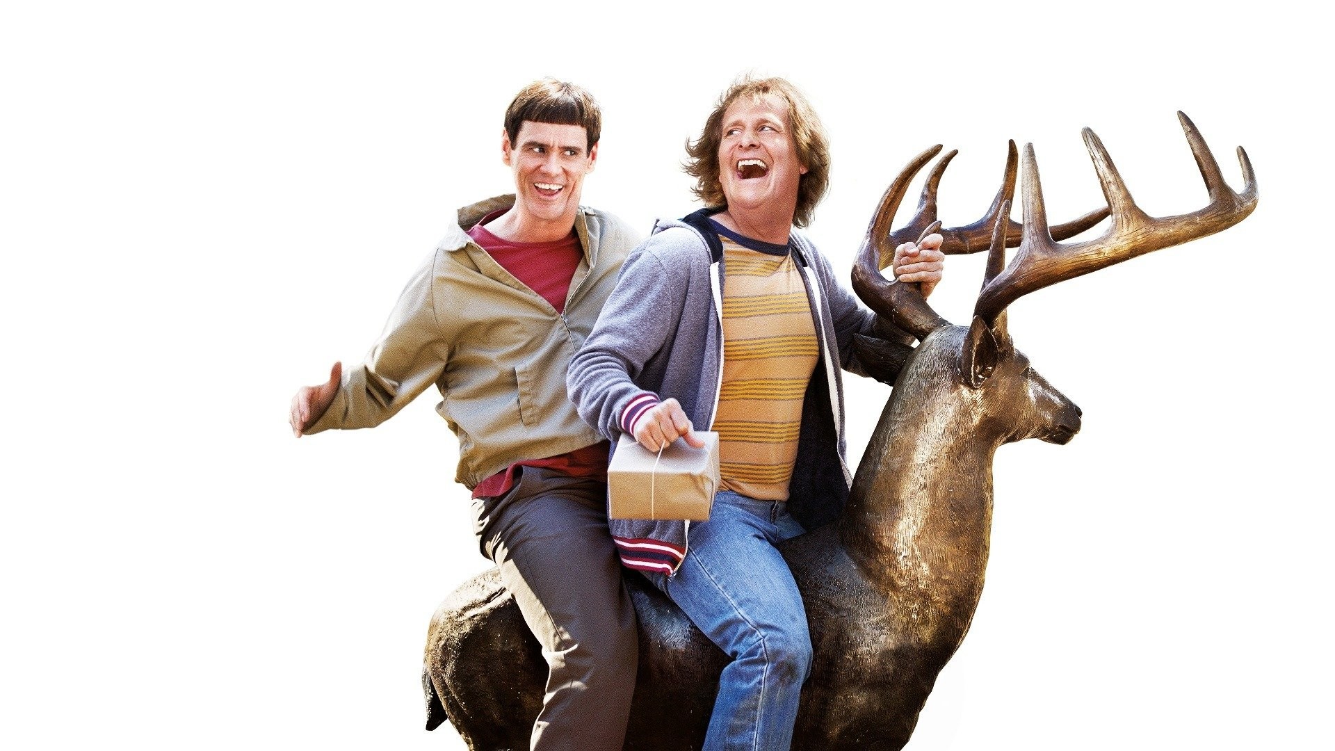 HD dumb and dumber to wallpapers  Peakpx